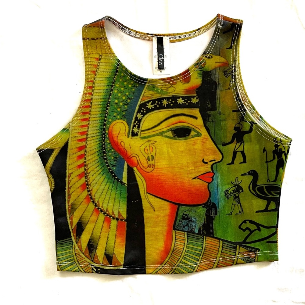 Ancient Egyptian Printed Crop Top